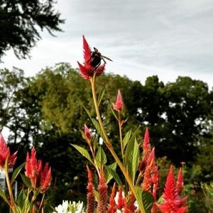 Meet your Posher, Ben